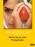 Tehran has no more Pomegranates (DVD)