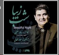 Salar Aghili ( Shabe Ziba)سالار عقیلی آلبوم شب زیبا